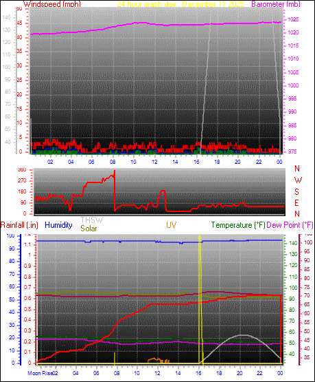 24 Hour Graph for Day 11