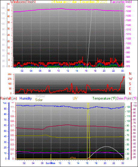 24 Hour Graph for Day 28