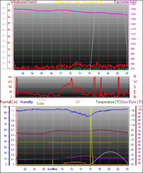 24 Hour Graph for Day 29