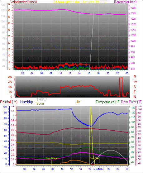 24 Hour Graph for Day 19