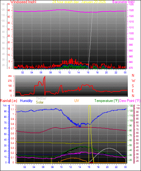24 Hour Graph for Day 20