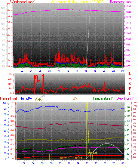 24 Hour Graph for Day 28