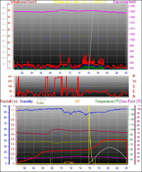24 Hour Graph for Day 29