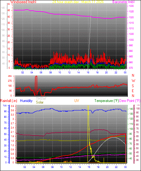 24 Hour Graph for Day 11