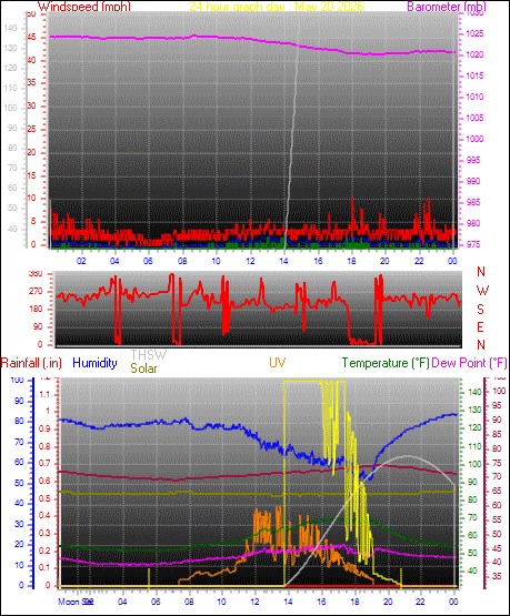 24 Hour Graph for Day 20