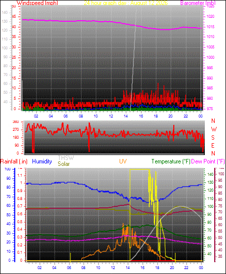 24 Hour Graph for Day 12