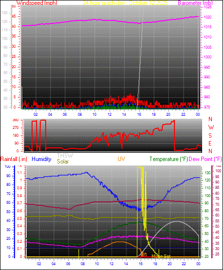 24 Hour Graph for Day 12