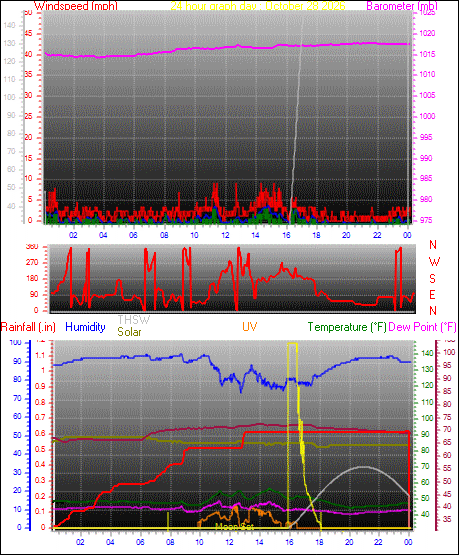 24 Hour Graph for Day 28