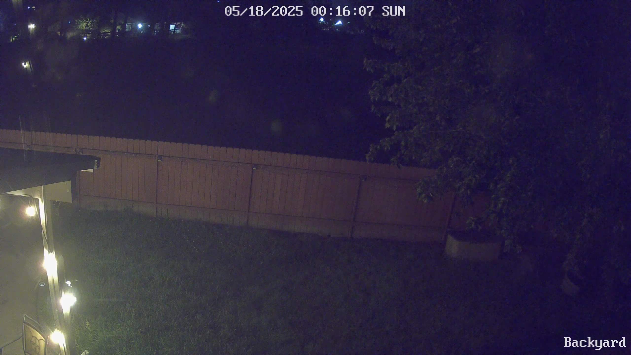 Web Cam